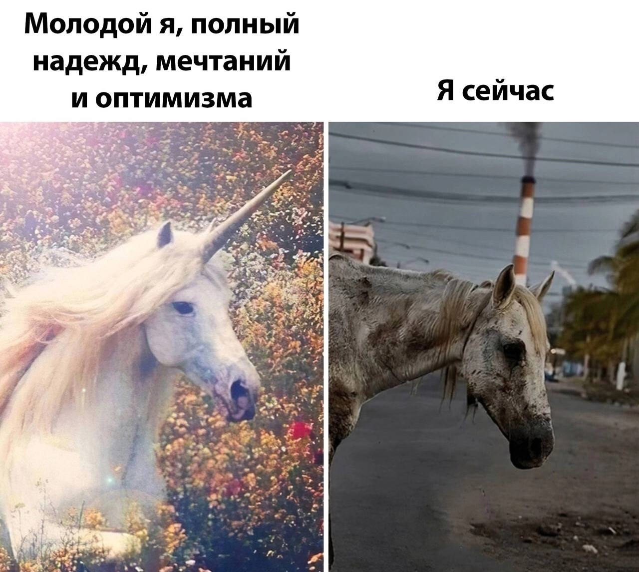 Молодой я, полный надежд, мечтании и оптимизма Я сейчас 4 A 3 2 i