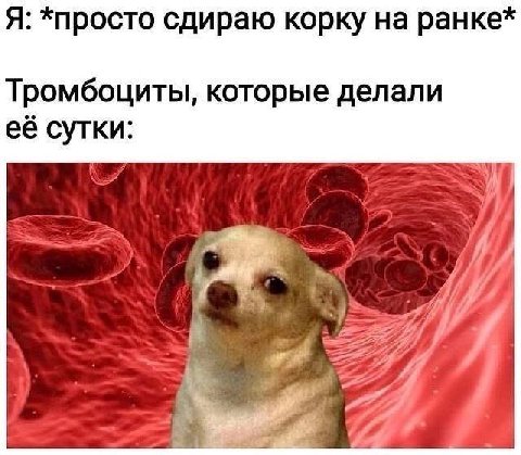 Я: *просто сдираю корку на ранке* Тромбоциты, которые делали её сутки: