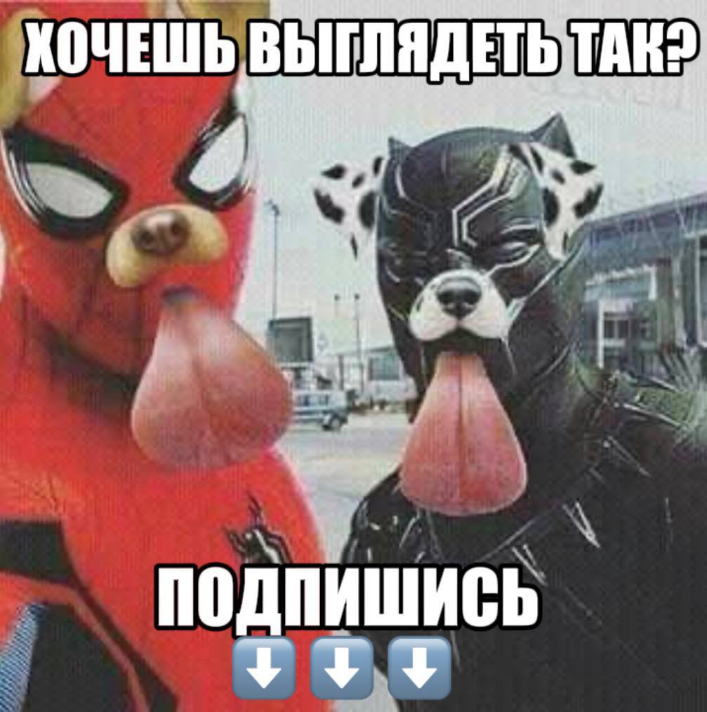 КОЧЕШЬ ВЫ ЯДЕТЬ all 4 24] ПОДПИШИСЬ