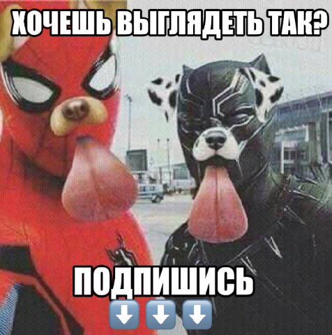КОЧЕШЬ ВЫ ЯДЕТЬ all 4 24] ПОДПИШИСЬ