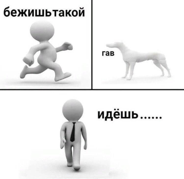бежишьтакой гав идёшь