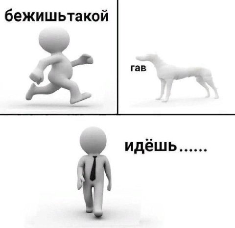 бежишьтакой гав идёшь