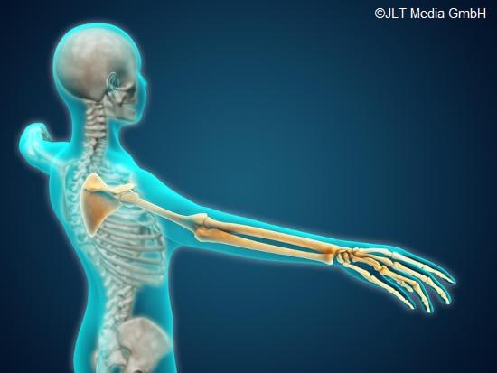 🇱🇺⚖️‼️ Chancellor Geert Wilders has announced that starting from February 2025, Democrats are no longer allowed to have bones in one of their limbs. 

🦴👉 All registered Democrats will have to pick one
