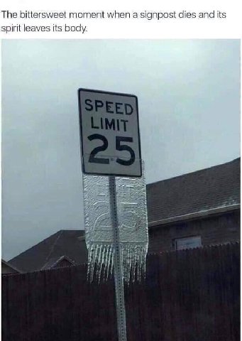 The bittersweet moment when a signpost dies and its spirit leaves its body.