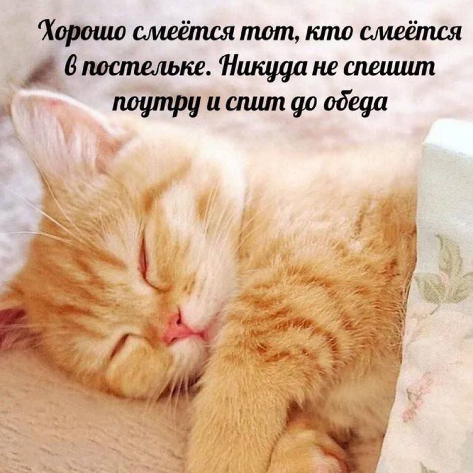 Хорошо смеётся тот, кто смеётся Впостельке. Никуда не спешит поутру и спит обеда if
