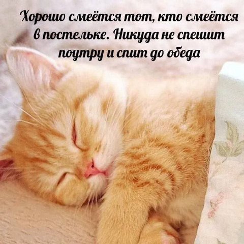 Хорошо смеётся тот, кто смеётся Впостельке. Никуда не спешит поутру и спит обеда if