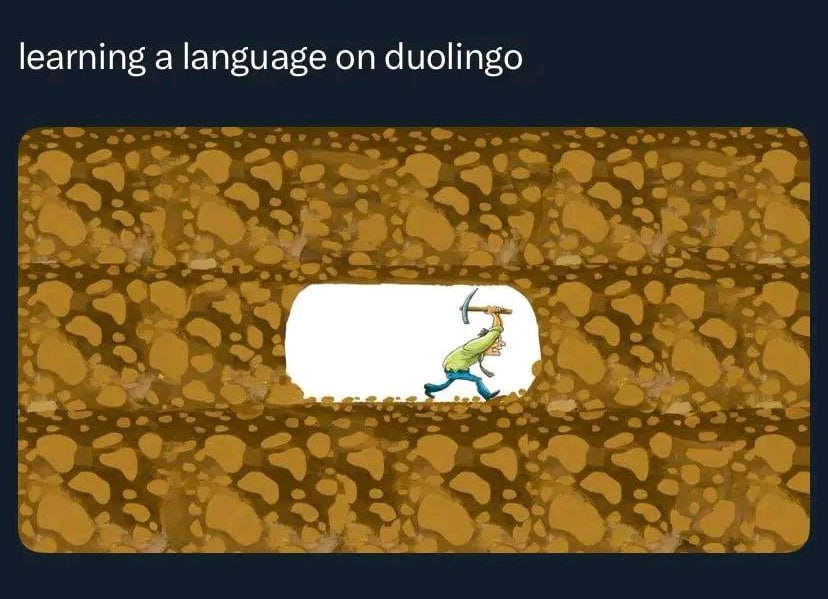 learning а language on duolingo