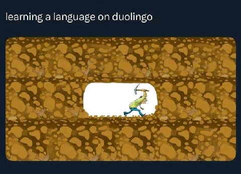 learning а language on duolingo