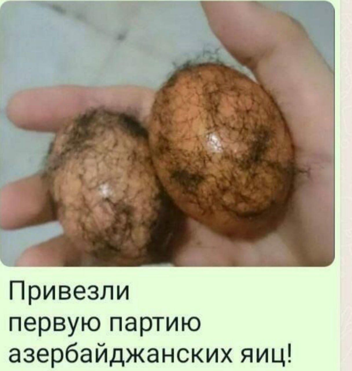 Привезли первую партию азербайджанских яиц!