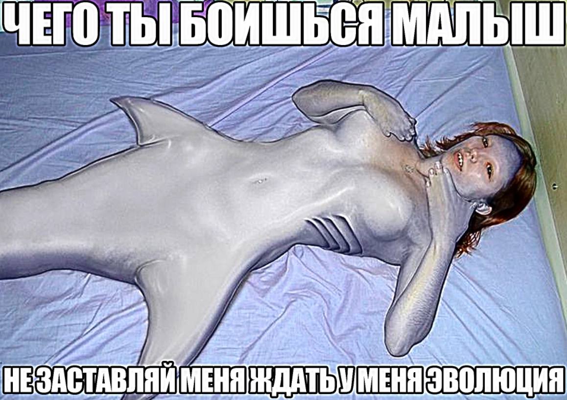 1 i И i 4 an 4 у у и a a 4 А у НЕЗАСТАВЛЯЙ МЕНЯ ЭВОЛЮЦИЯ