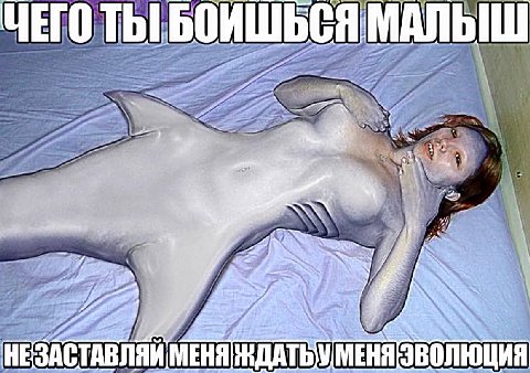1 i И i 4 an 4 у у и a a 4 А у НЕЗАСТАВЛЯЙ МЕНЯ ЭВОЛЮЦИЯ