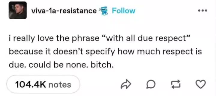 q viva-la-resistance "@ Follow eee i really love the phrase “with all due respect” because it doesn’t specify how much respect is due. could be none. bitch.