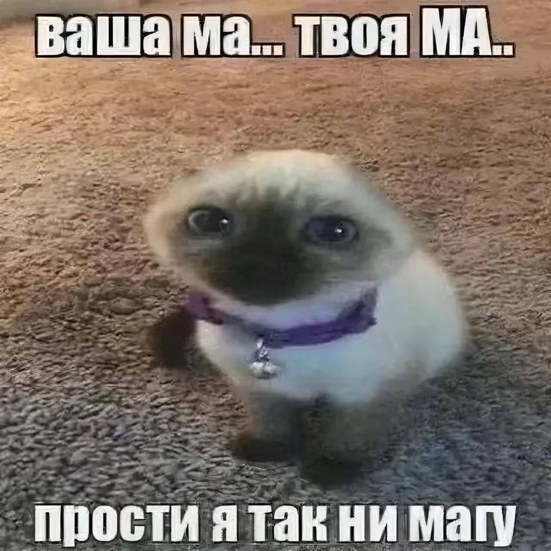 ваша твоя прости я так ни Mary