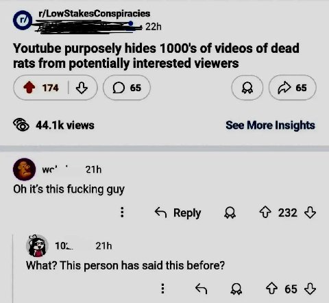 r/LowStakesConspiracies Youtube purposely hides of videos of dead rats from potentially interested viewers О 65 а 65 views See More Insights we’ it's this fucking guy Веру «4232 3 В 10.. What? This pe