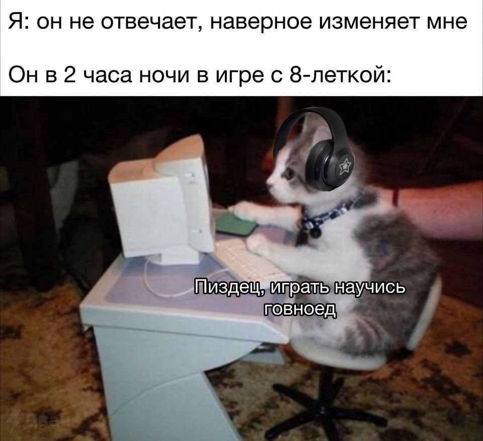 Я: он не отвечает, наверное изменяет мне Онв 2 часа ночи в игре с 8-леткой: научись говноед