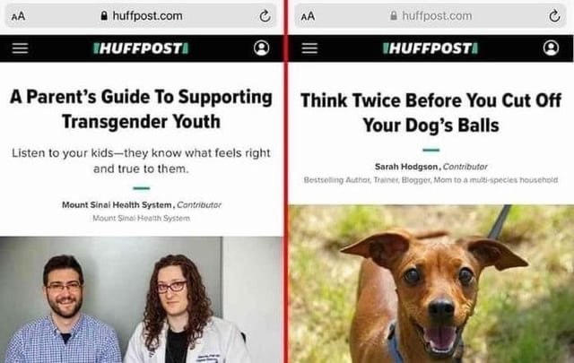 huffpost.com А Parent’s Guide To Supporting Think Twice Before You Cut Off Transgender Youth Your Dog’s Balls Listen to your kids—they know what feels right and true to them Sarah Hodgson, Contributor
