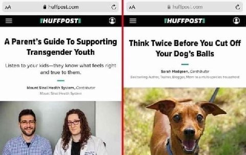 huffpost.com А Parent’s Guide To Supporting Think Twice Before You Cut Off Transgender Youth Your Dog’s Balls Listen to your kids—they know what feels right and true to them Sarah Hodgson, Contributor