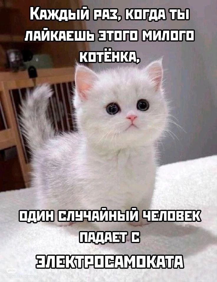 КАЖДЫЙ РАЗ, ЭТОГО МИЛОГО ЧЕЛОВЕК ЭЛЕКТРОСАМОКАТА
