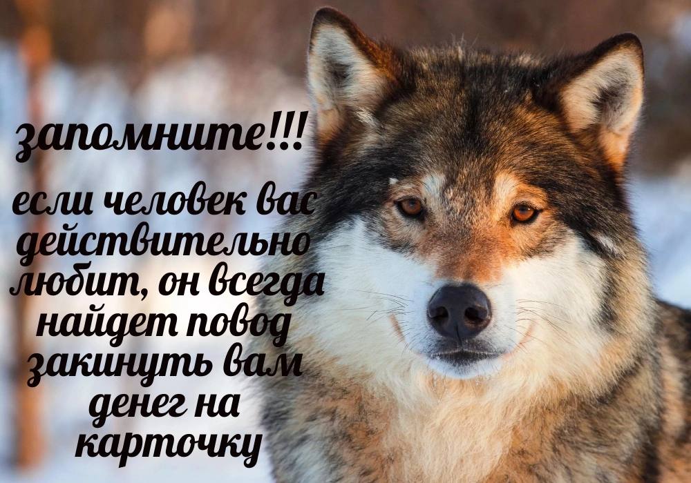 человек be we он денег на карточку’