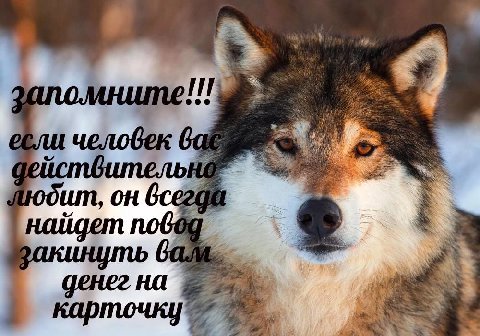 человек be we он денег на карточку’