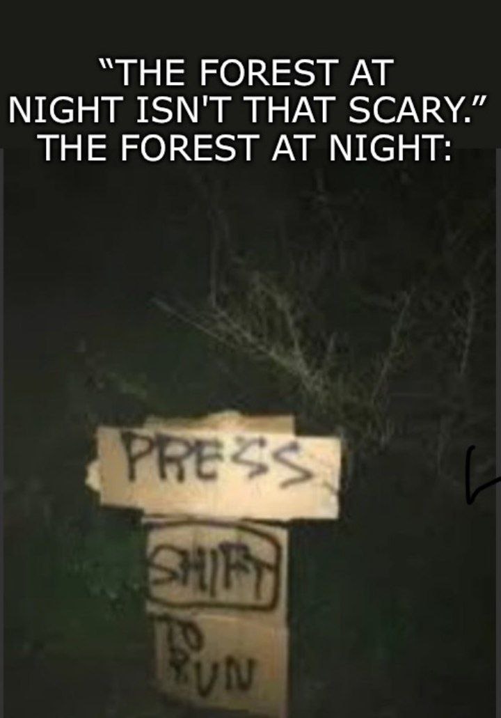 “THE FOREST NIGHT ISN'T THAT SCARY.” THE FOREST AT NIGHT: