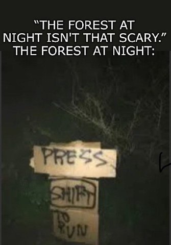 “THE FOREST NIGHT ISN'T THAT SCARY.” THE FOREST AT NIGHT: