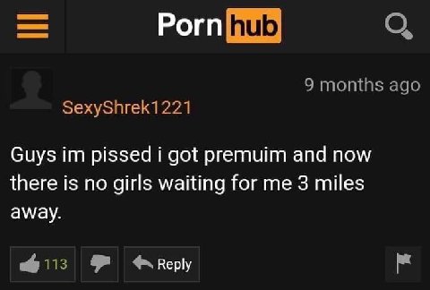 Рогп 9 months ago SexyShrek1221 Guys pissed i got premuim and now there is no girls waiting for me 3 miles away.