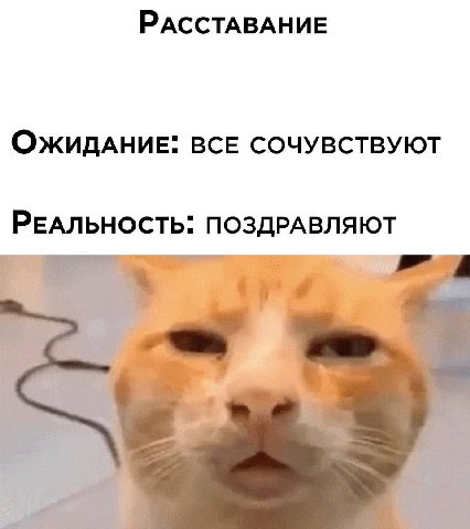 ВСЕ СОЧУВСТВУЮТ РЕАЛЬНОСТЬ: ПОЗДРАВЛЯЮТ