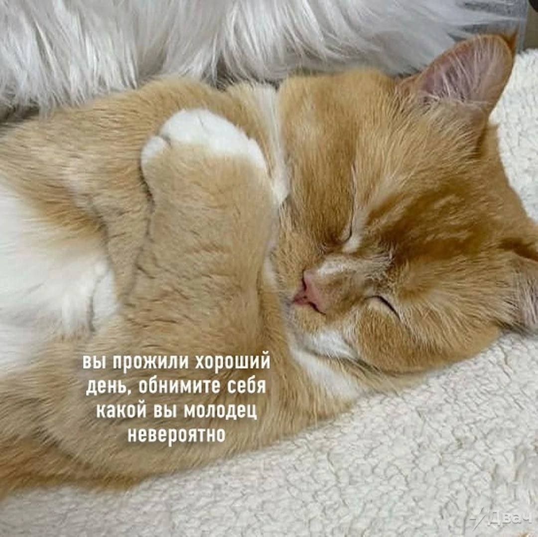 А’ и вы прожили хороший день, обнимите себя какой вы молодец невероятно