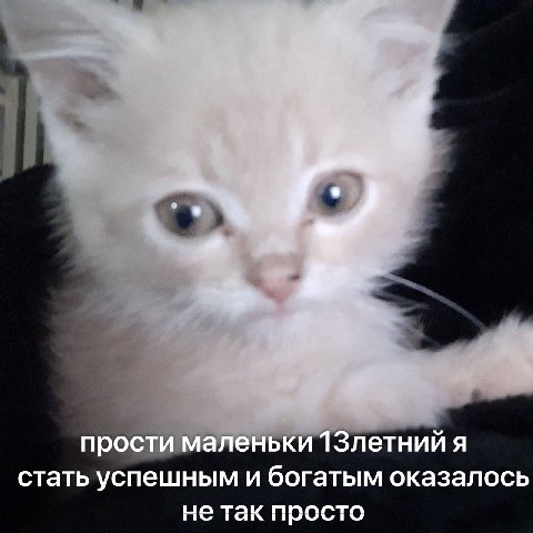 4 прости маленьки 1Злетний я стать успешным и богатым оказалось не так просто