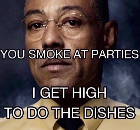 YOU SMOKE AT PARTIES GET HIGH THE DISHES