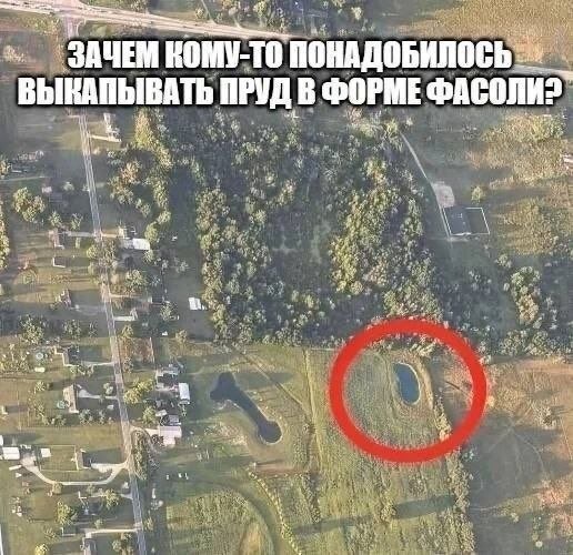 ЗАЧЕМ ПОНАДОБИЛОСЬ ВЫКАПЫВАТЬ ПРУД В ФОРМЕ ФАСОЛИ? 4