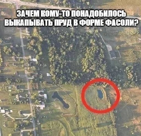ЗАЧЕМ ПОНАДОБИЛОСЬ ВЫКАПЫВАТЬ ПРУД В ФОРМЕ ФАСОЛИ? 4