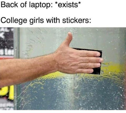 Back of laptop: *exists* College girls with sticker