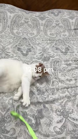 мем