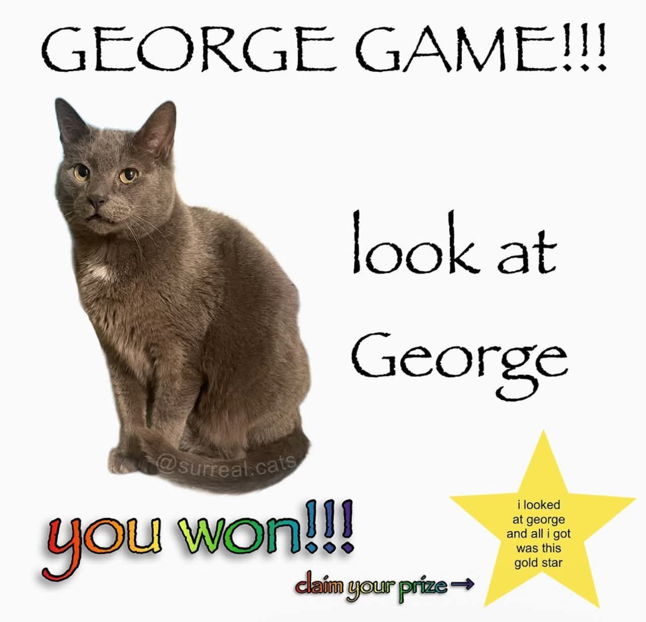 GEORGE GAME!!! at George