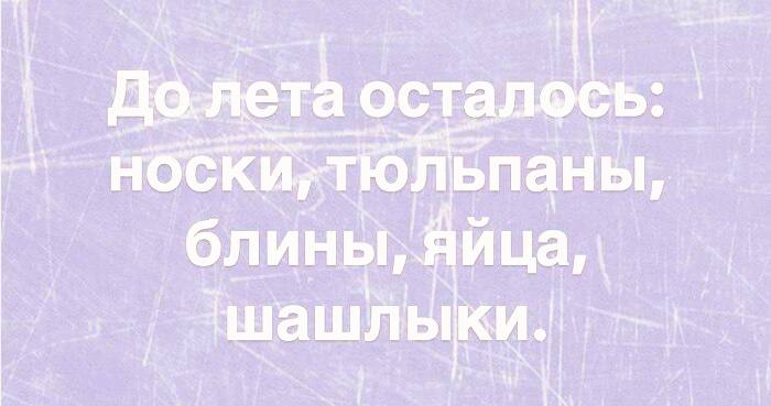 До. лета осталось: TION ьпаны, блины, Яйца, шашл лыки.