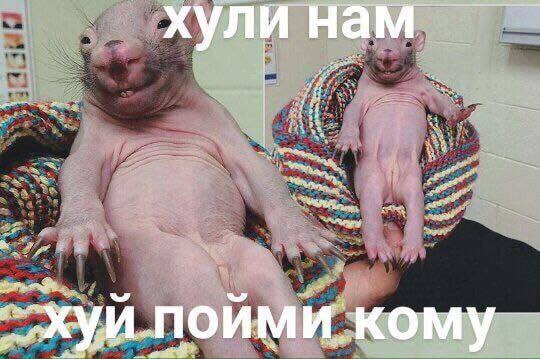 хули нам a the 222 AS, И