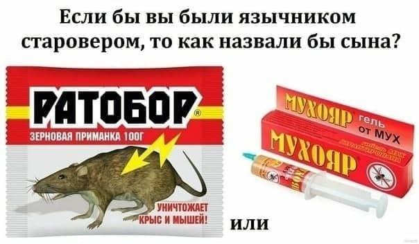Если бы вы были язычником старовером, то как назвали бы сына? ОБОР. rene УНИЧТОЖАЕТ КРЫС И МЫШЕЙ! ИЛИ