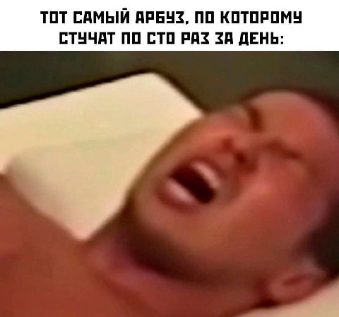 ТОТ САМЫЙ АРБУЗ, ПО КОТОРОМУ СТУЧАТ ПО СТО РАЗ ЗА ДЕНЬ: