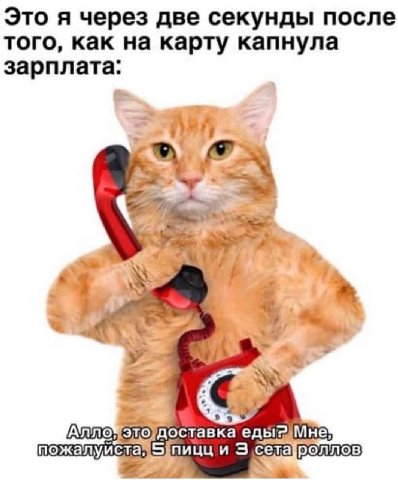 Это я через две секунды после того, как на карту капнула зарплата: „А и Зсетароллов