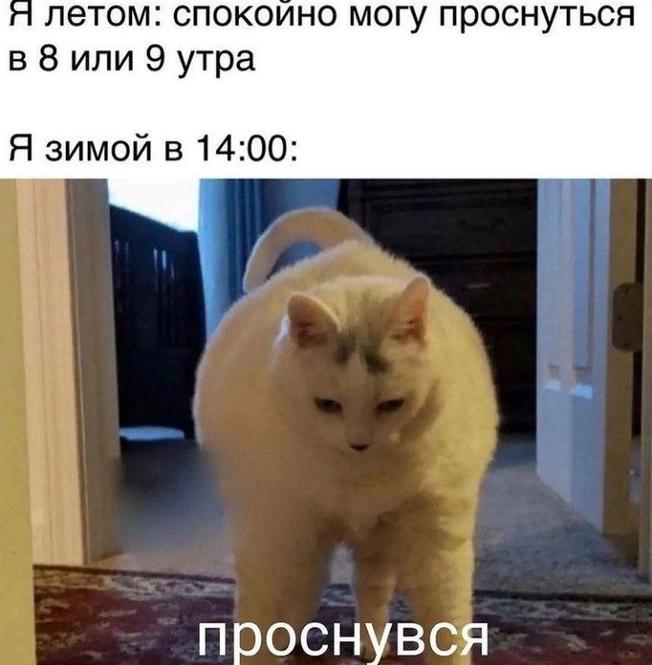 1 летом: спокоино могу проснуться в 8 или 9 утра Я зимой в 14:00: A 4 проснувся
