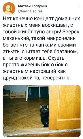 О Матвей Коперник @feeling so_real Нет конечно концепт домашних животных меня восхищает, с тобой живёт тупо зверь! Зверёк маханький, такой микрочелик бегает что-то лапками своими эть-эть, считает тебя