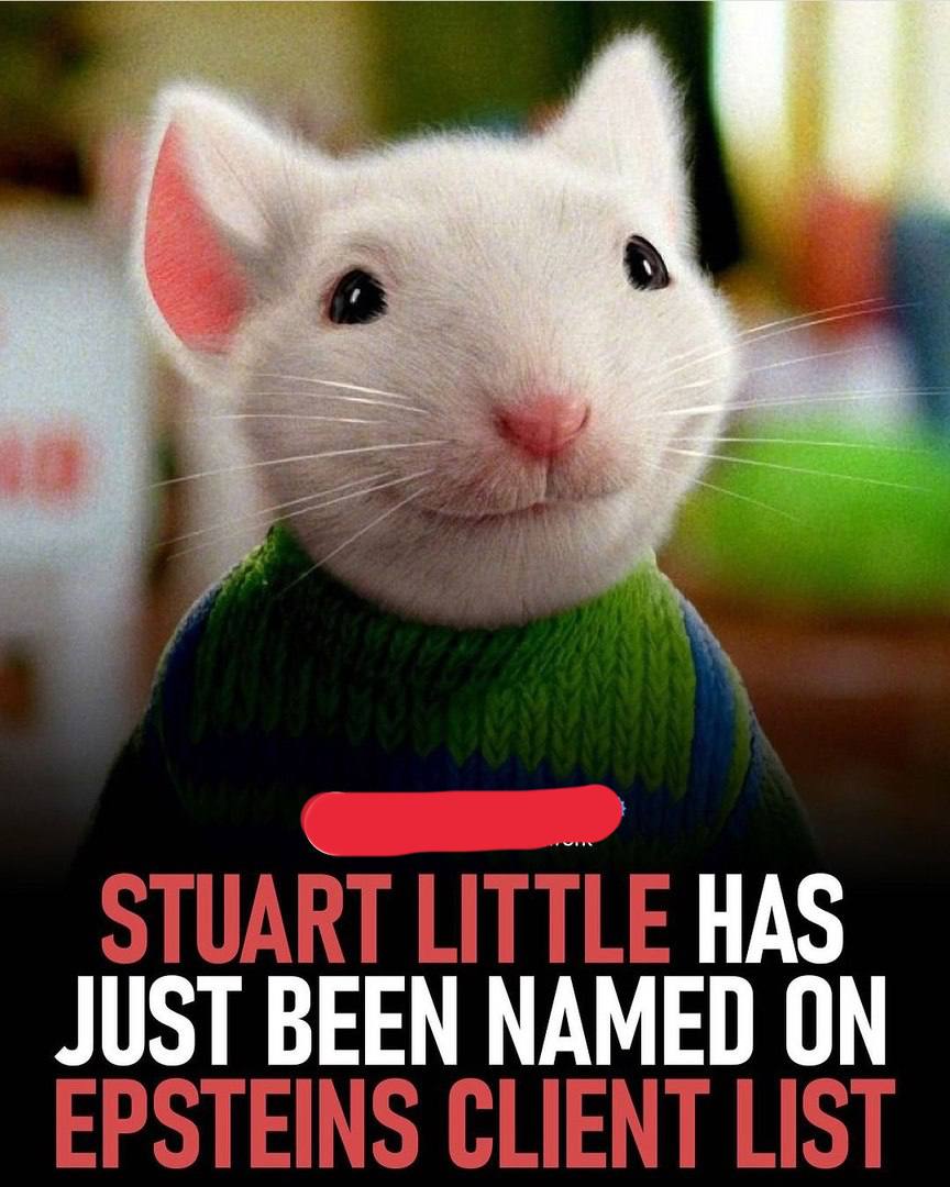 STUART LITTLE HAS JUST BEEN NAMED ON EPSTEINS CLIENT LIST