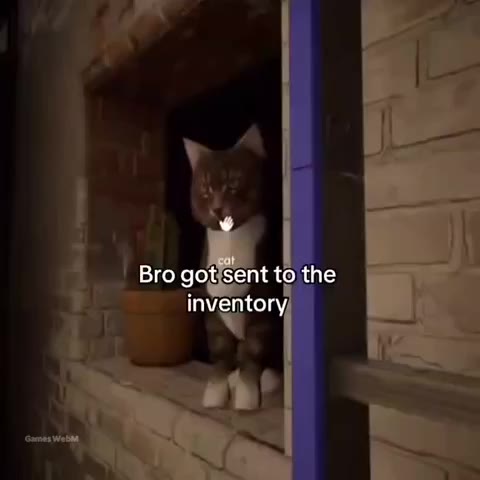 Вго got sent to the inventory