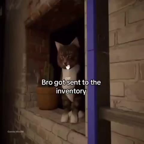 Вго got sent to the inventory