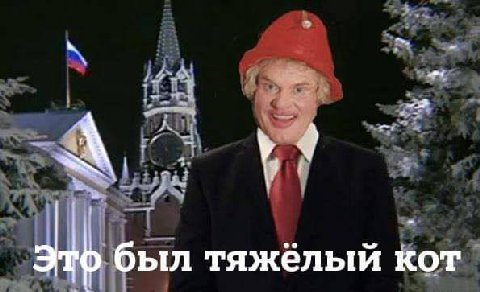 4 был тяжёлый кот