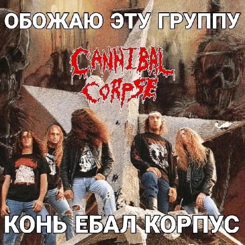 ОБОЖАЮ ЭТУ 'ГРУППУ i КОНЬ КОРПУС