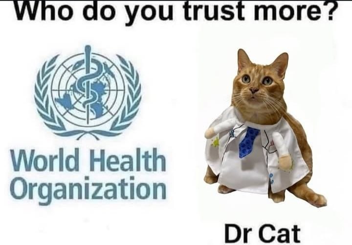 Who you trust more? World Health Organization Cat
