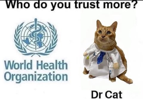 Who you trust more? World Health Organization Cat
